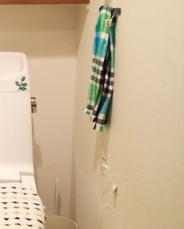 壁紙リフォーム！【リビング、トイレ編】_f0370138_13533654.jpg