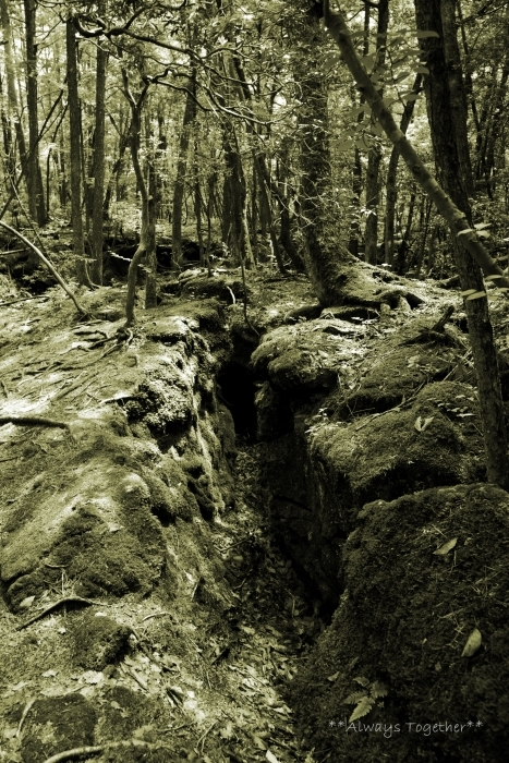 c0319240_14235792.jpg