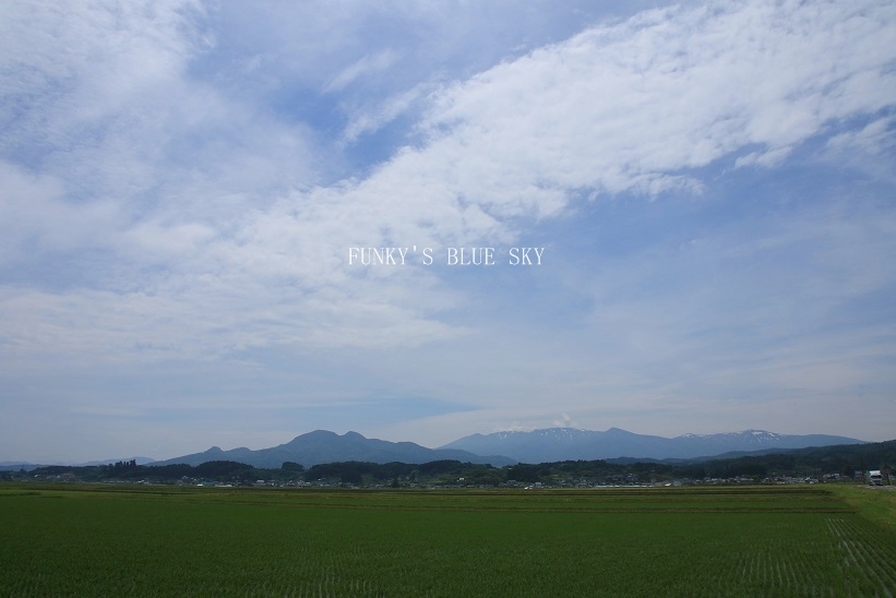 c0145250_16501695.jpg