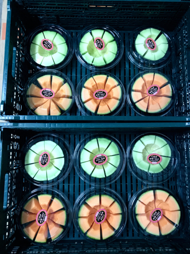 月刊 Fruits Life No.58_a0347953_16581307.jpg
