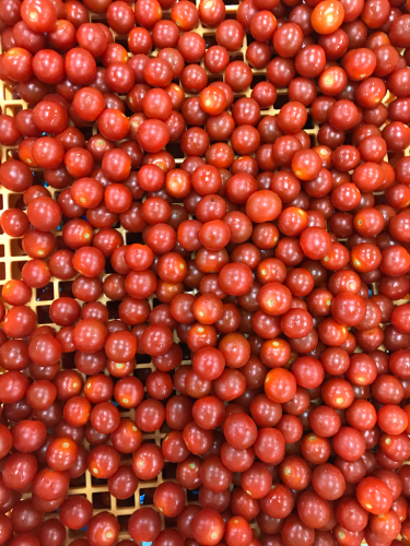 月刊 Fruits Life No.58_a0347953_16581469.jpg