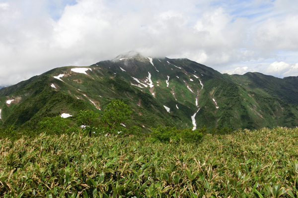 美濃禅定道の一部（石徹白～三ノ峰）ピストン　7/2～4_f0007956_21125498.jpg