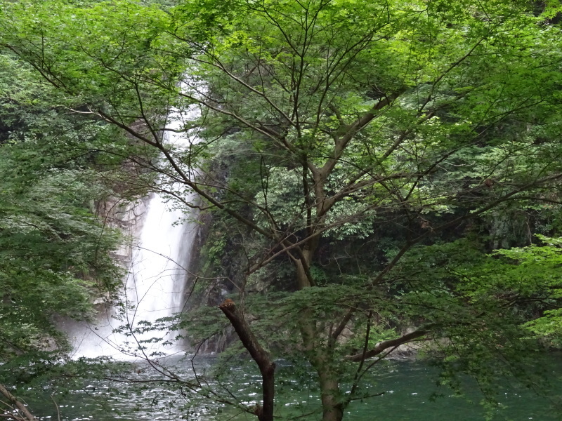 c0108460_00183022.jpg