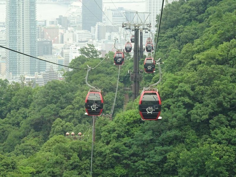 c0108460_00265441.jpg