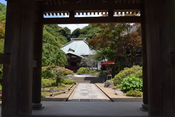 初夏の鎌倉散策♪　～海蔵寺編_f0341967_10013694.jpg