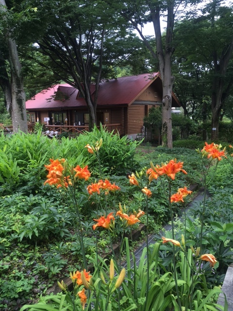 広島市植物公園 この植物をお買い２