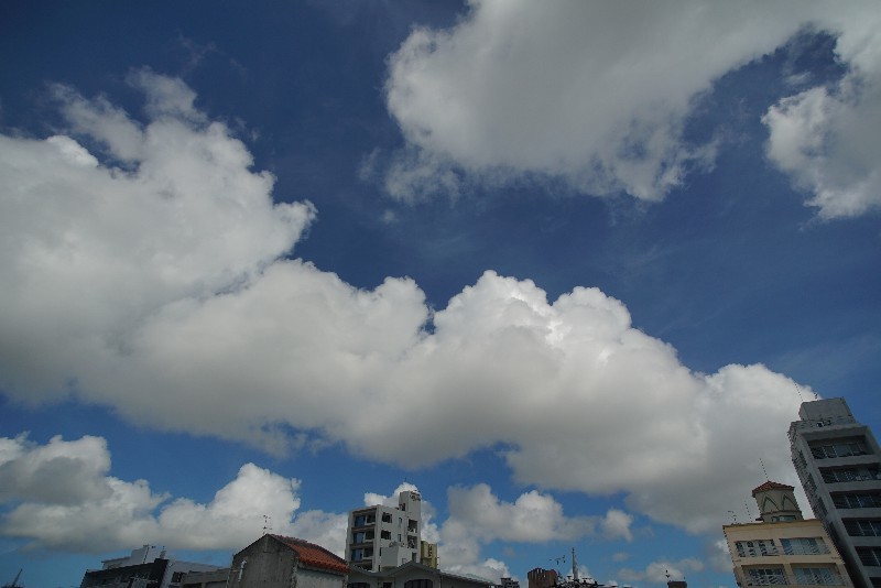 a0095470_16153717.jpg