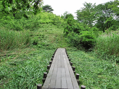 f0140773_11151764.gif