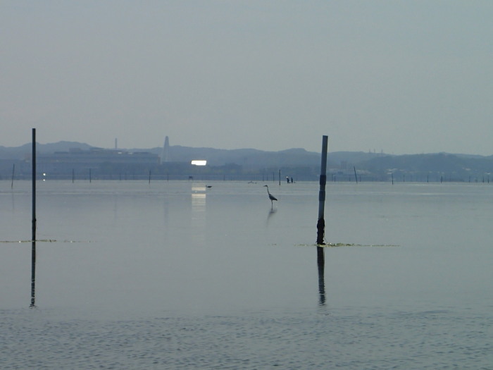 c0197578_23504195.jpg