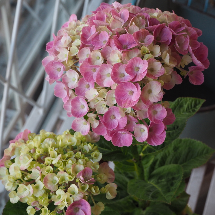 気温28℃_a0292194_16281556.jpg