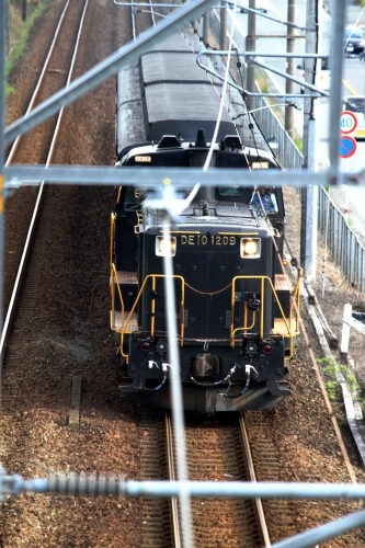 c0368903_22230007.jpg