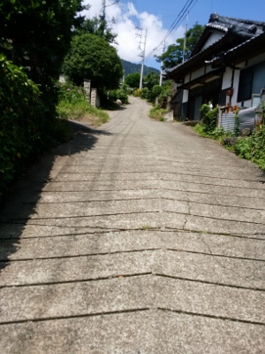 b0040606_2038429.jpg
