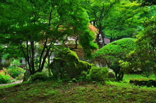 大田原市　黒羽城址の旧浄法寺邸_a0263109_10245195.jpg