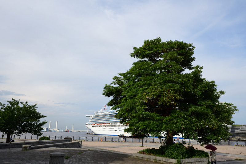 2017/07/05 ダイヤモンド・プリンセス＠横浜港大さん橋_e0358709_18531549.jpg