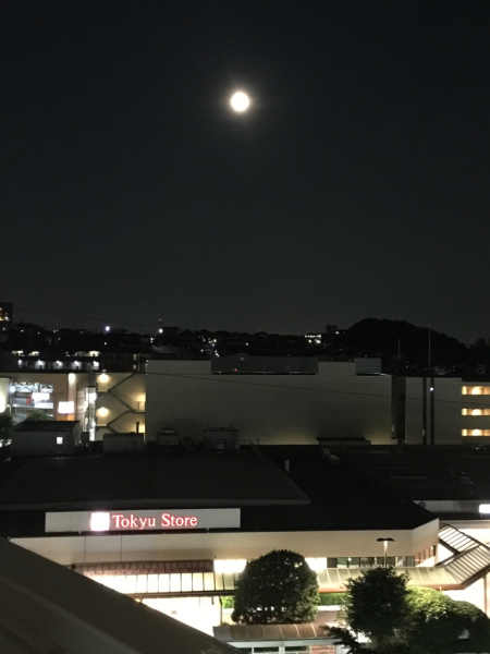 b0071410_22383460.jpg