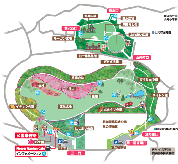 根岸森林公園 横浜市中区 Hamasumi Life
