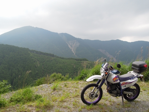 バイクで行く国道１６６号の巨木と高見峠_e0166016_23304190.jpg