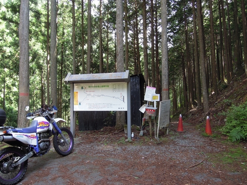 バイクで行く国道１６６号の巨木と高見峠_e0166016_23305778.jpg