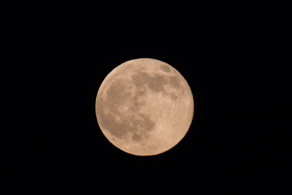 d0161322_20331053.jpg