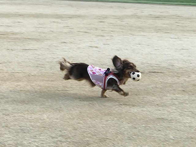 c0117831_10143264.jpg