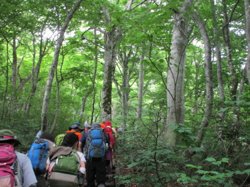 雨の大山登山①_a0345833_22025661.jpg