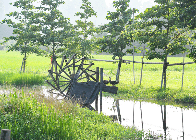 d0290240_11084183.gif