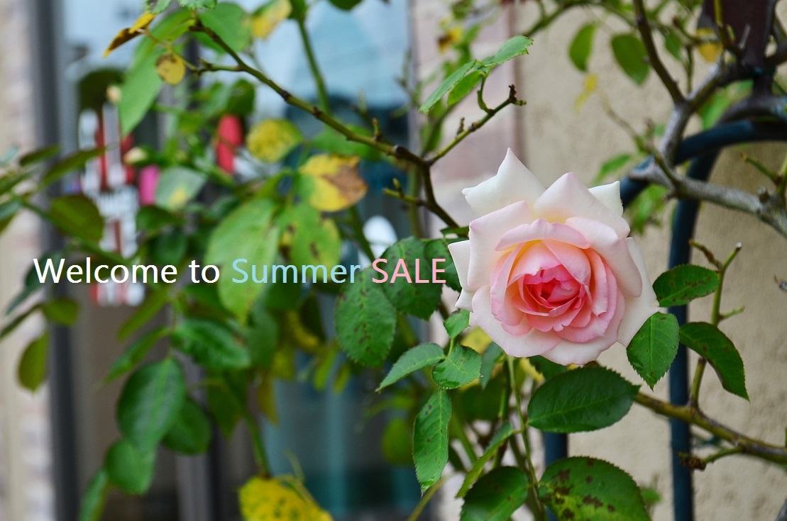 ”2017 Summer Style New for Sale!... 7/9sun\"_d0153941_16563850.jpg