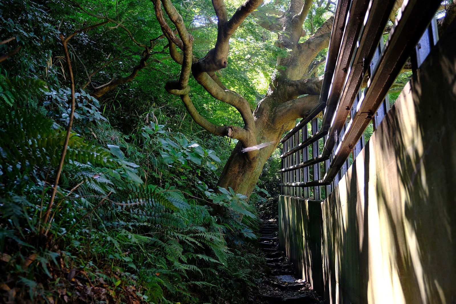 【史跡|名越切通】 鎌倉で探検ハイキング! コース詳細説明_b0212342_14505786.jpg