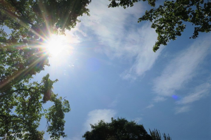 e0300042_17132129.jpg
