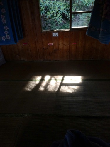 7月9日_c0369344_16073553.jpg
