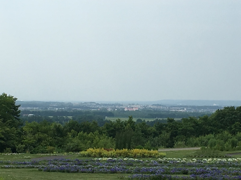 e0326953_13570359.jpg