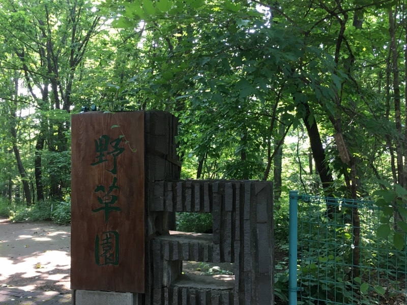 e0326953_14195000.jpg