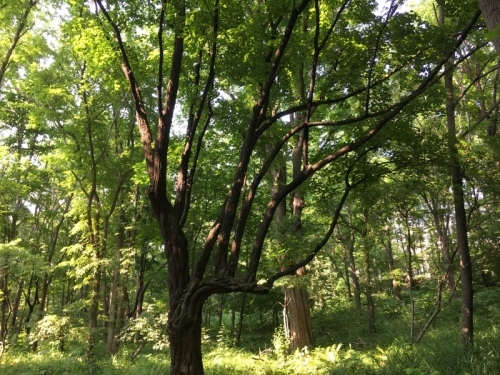 e0326953_14200263.jpg
