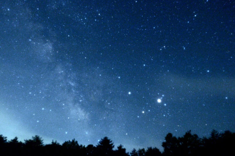 【100均】星と猫の扇子_b0008655_22341482.jpg