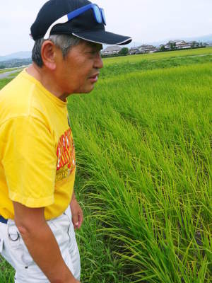 熊本県菊池市産の無農薬栽培の『雑穀米』『発芽玄米』『米粉』大好評販売中!田植え後の様子を現地取材!_a0254656_18454818.jpg