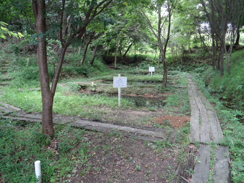 c0108460_21545193.jpg