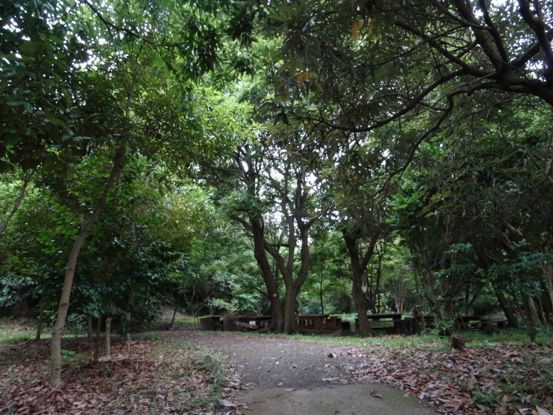 c0108460_21582091.jpg