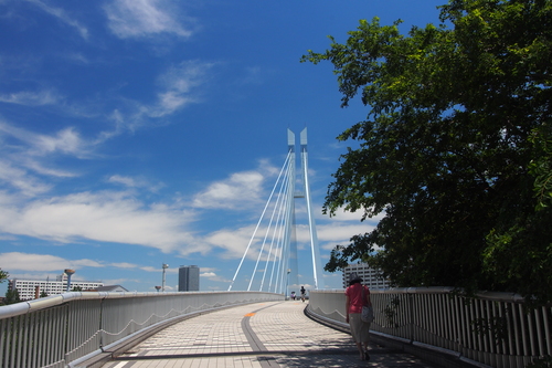 d0193569_10333229.jpg