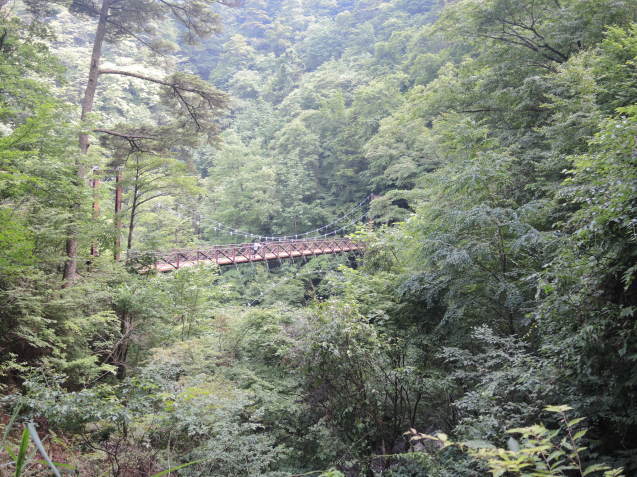 三頭山1524.5mに登りました_e0232277_14103725.jpg