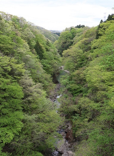 f0230777_10351296.jpg