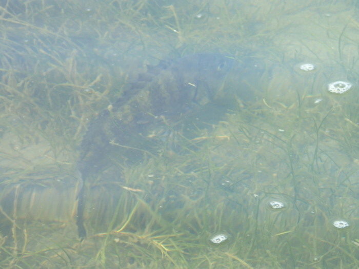c0197578_06542948.jpg