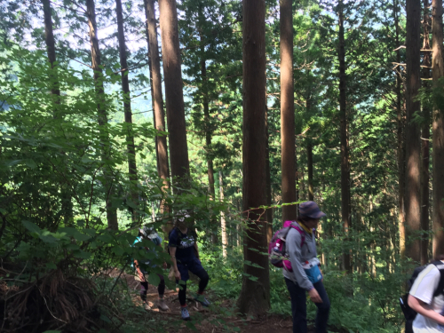 【レポ】2017/7/9 千条の滝〜浅間山あじさい広場_d0262778_20510921.jpg