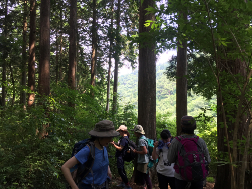 【レポ】2017/7/9 千条の滝〜浅間山あじさい広場_d0262778_20511099.jpg