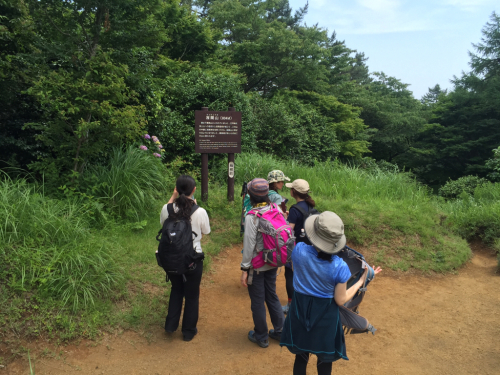 【レポ】2017/7/9 千条の滝〜浅間山あじさい広場_d0262778_20571974.jpg