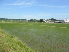 一見、夏空の様に見えるけど、未だ梅雨の時期！_b0080882_2004443.jpg