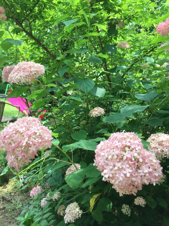 IL Giardino_b0098584_12505462.jpg