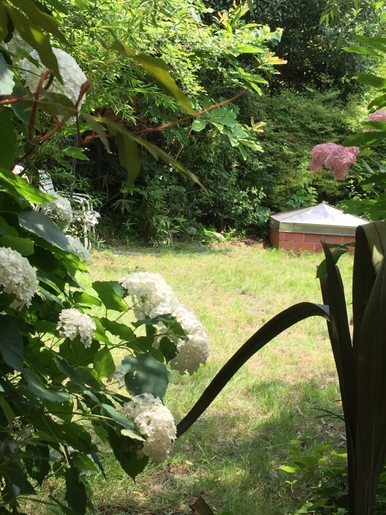 IL Giardino_b0098584_12521489.jpg
