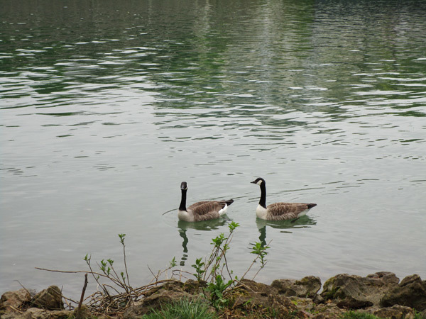 f0176688_16191780.jpg