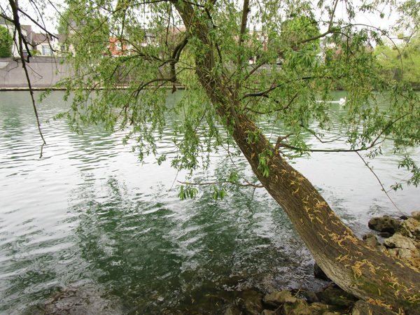 f0176688_16243012.jpg
