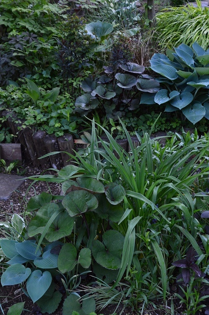 c0124100_17502436.jpg